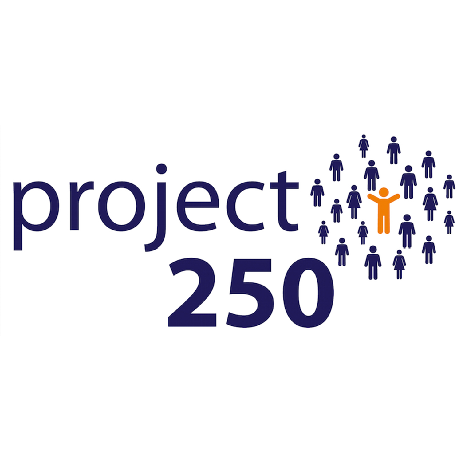 PROJECT 250
